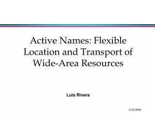 Active Names: Flexible Location and Transport of Wide-Area Resources