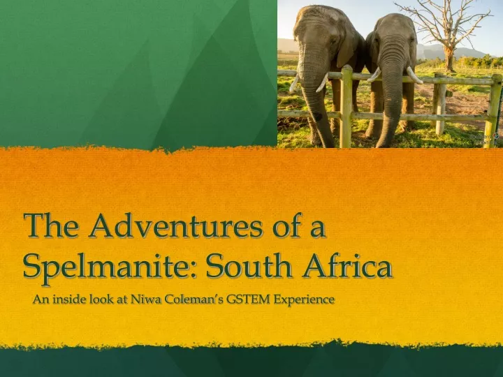 the adventures of a spelmanite south africa
