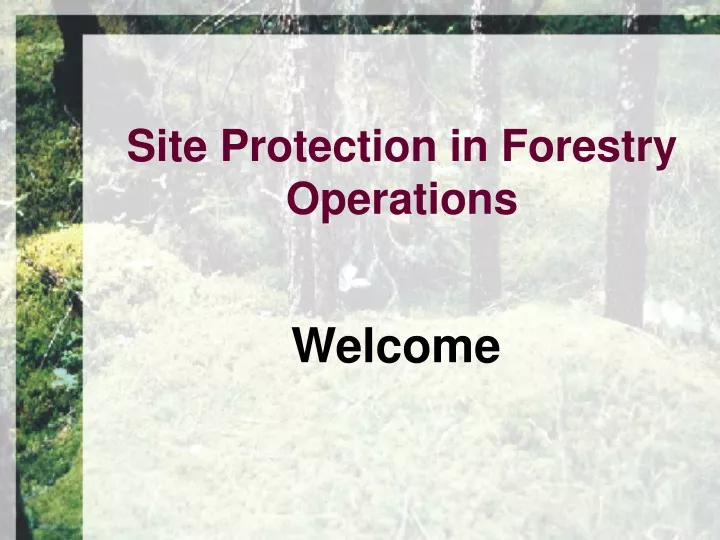 site protection in forestry operations