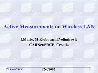 Active Measurements on Wireless LAN