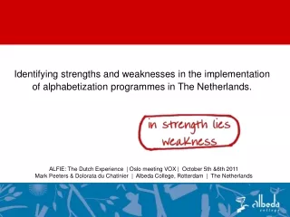 Identifying strengths and weaknesses in the implementation