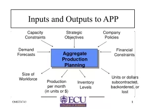 Inputs and Outputs to APP