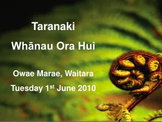 Taranaki Whānau Ora Hui Owae Marae, Waitara Tuesday 1 st  June 2010