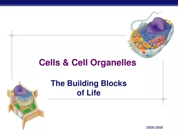 cells cell organelles