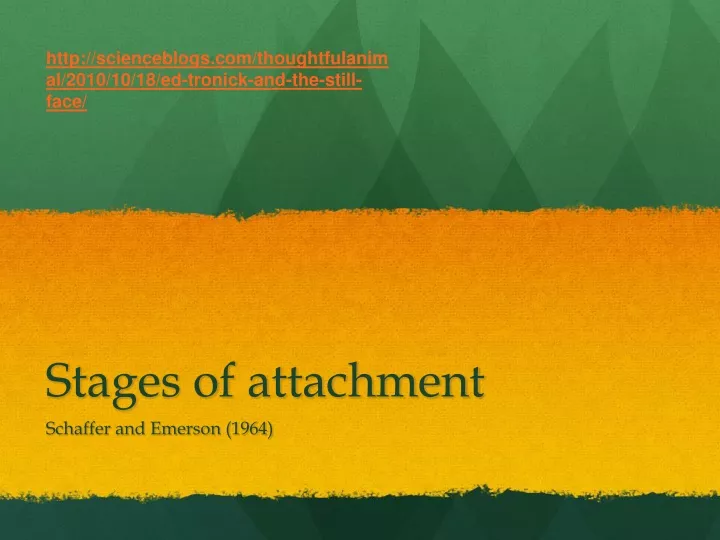 stages of attachment