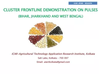CLUSTER FRONTLINE DEMONSTRATION ON PULSES (BIHAR, JHARKHAND AND WEST BENGAL)
