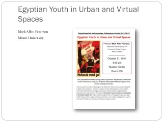 Egyptian Youth in Urban and Virtual Spaces