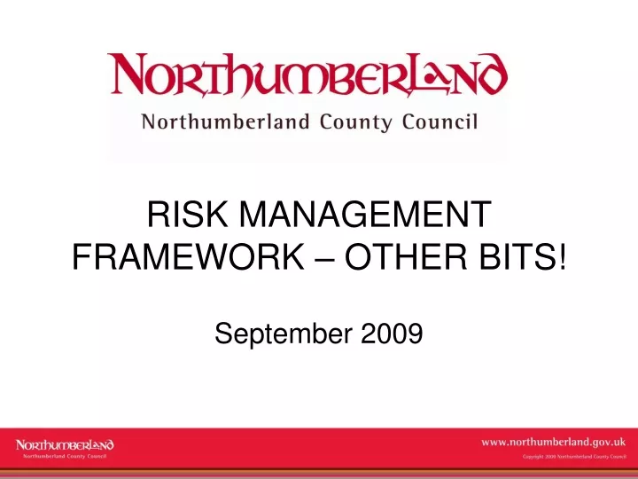 risk management framework other bits