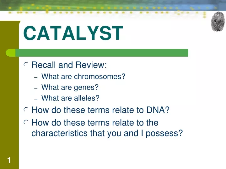 catalyst