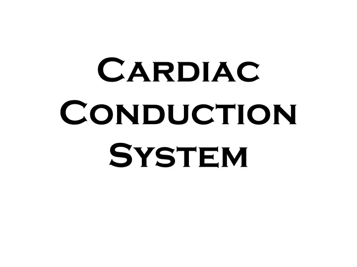 cardiac conduction system