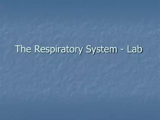 The Respiratory System - Lab