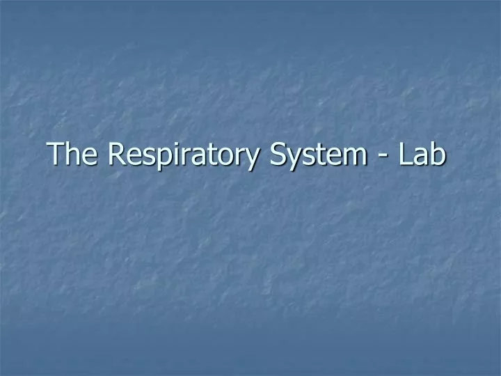 the respiratory system lab