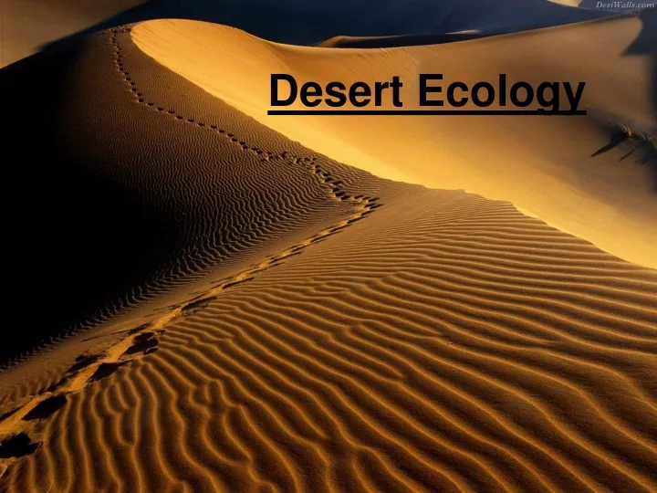 desert ecology