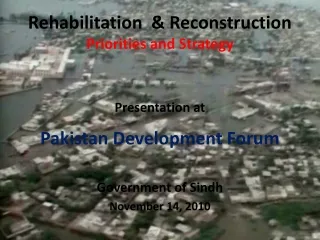 Rehabilitation  &amp; Reconstruction Priorities and Strategy
