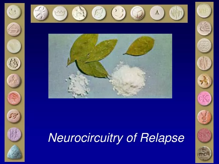 neurocircuitry of relapse
