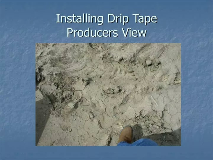 installing drip tape producers view