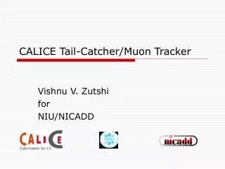CALICE Tail-Catcher/Muon Tracker