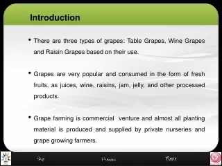 There are three types of grapes: Table Grapes, Wine Grapes and Raisin Grapes based on their use.