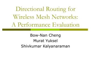 Directional Routing for Wireless Mesh Networks: A Performance Evaluation