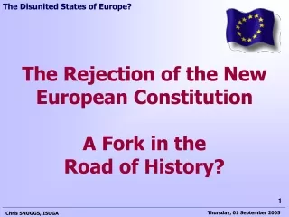 The Rejection of the New European Constitution A Fork in the  Road of History?