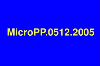 MicroPP.0512.2005