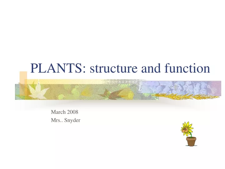 plants structure and function