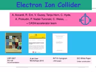 Electron Ion Collider