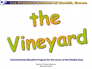 the Vineyard