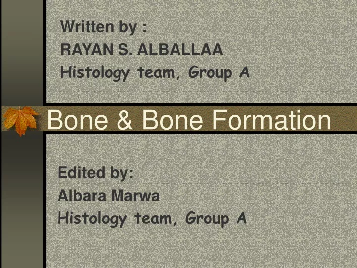 bone bone formation