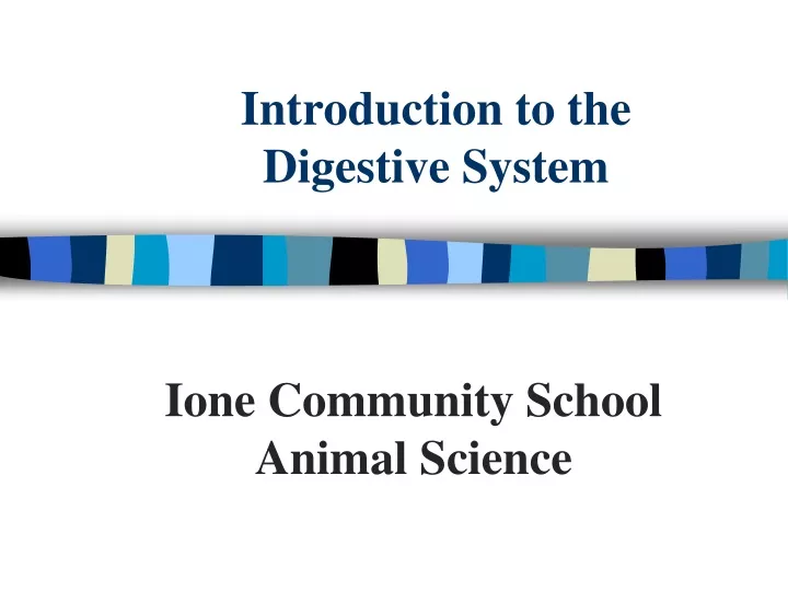 introduction to the digestive system