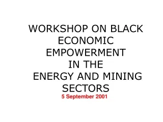WORKSHOP ON BLACK ECONOMIC EMPOWERMENT  IN THE  ENERGY AND MINING SECTORS