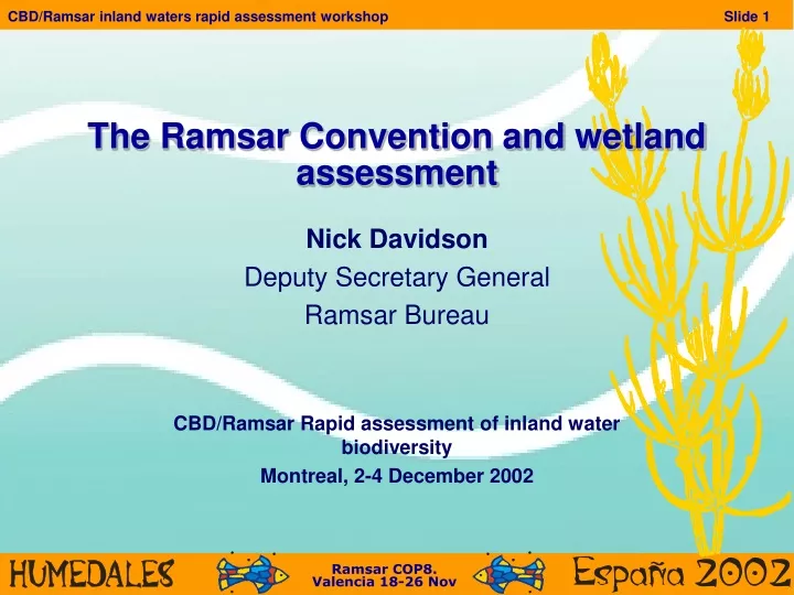 the ramsar convention and wetland assessment