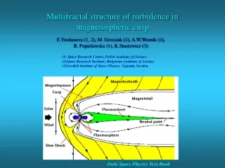Multifractal structure of turbulence in magnetospheric cusp