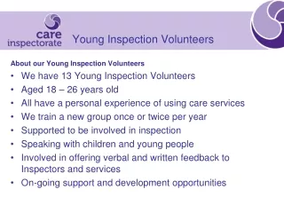 Young Inspection Volunteers