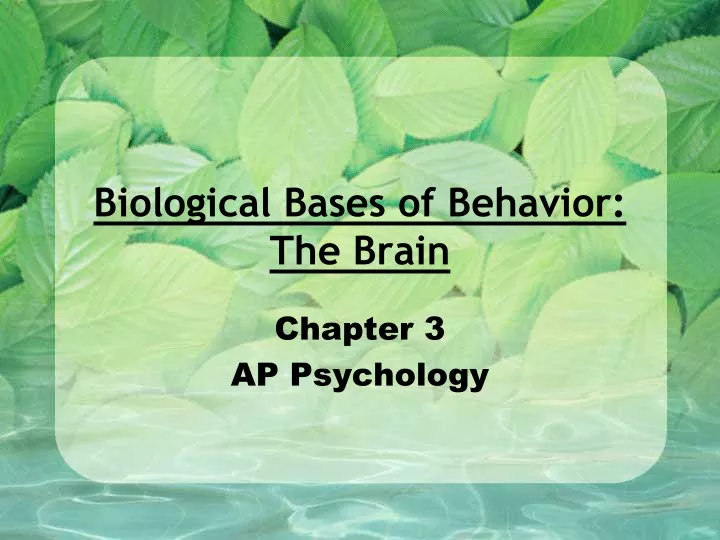 biological bases of behavior the brain