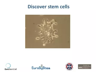 Discover stem cells