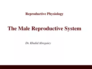 Reproductive Physiology The Male Reproductive System