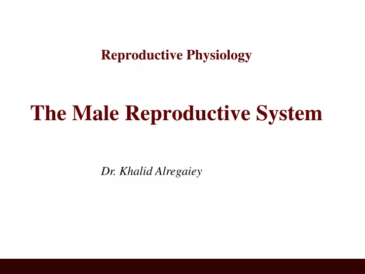 reproductive physiology the male reproductive system