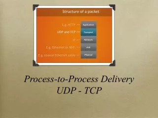 Process-to-Process Delivery UDP - TCP