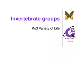 Invertebrate groups