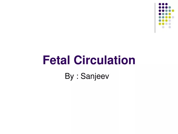 fetal circulation