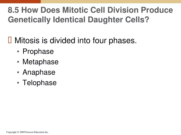 8 5 how does mitotic cell division produce genetically identical daughter cells