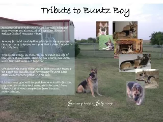Tribute to Buntz Boy