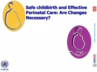 Safe childbirth and Effective Perinatal Care: Are Changes Necessary?