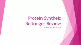 Protein Syntheis Bellringer Review