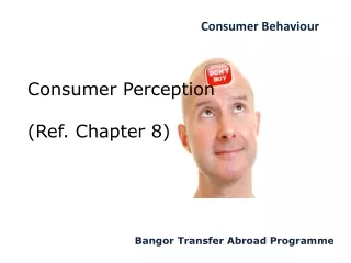 Consumer Perception (Ref. Chapter 8)