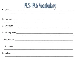 19.5-19.6 Vocabulary