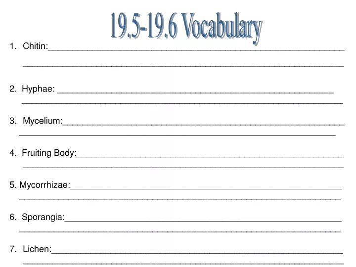 19 5 19 6 vocabulary