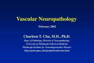 Vascular Neuropathology February 2002