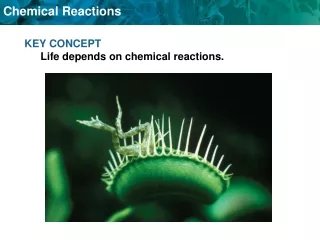 KEY CONCEPT  Life depends on chemical reactions.